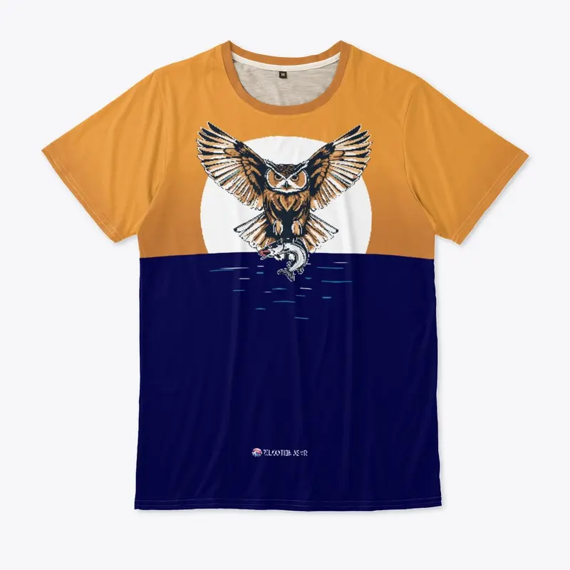 Owl Design